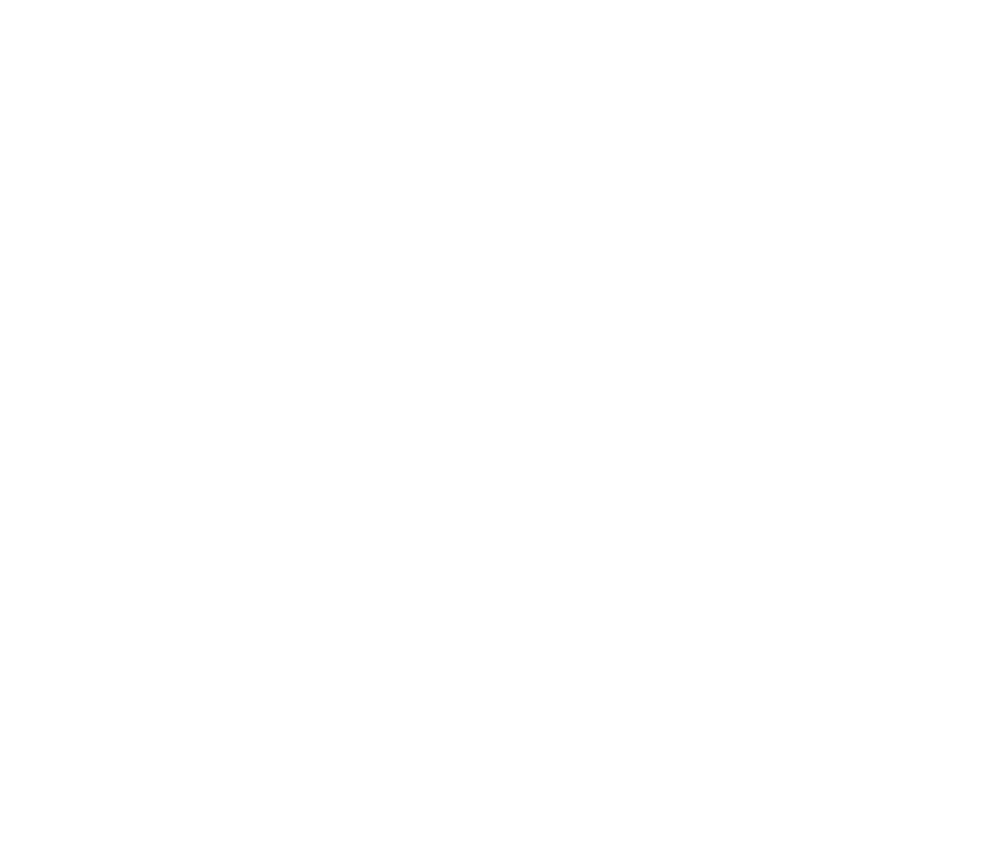 SKRT logo - logo final white copy